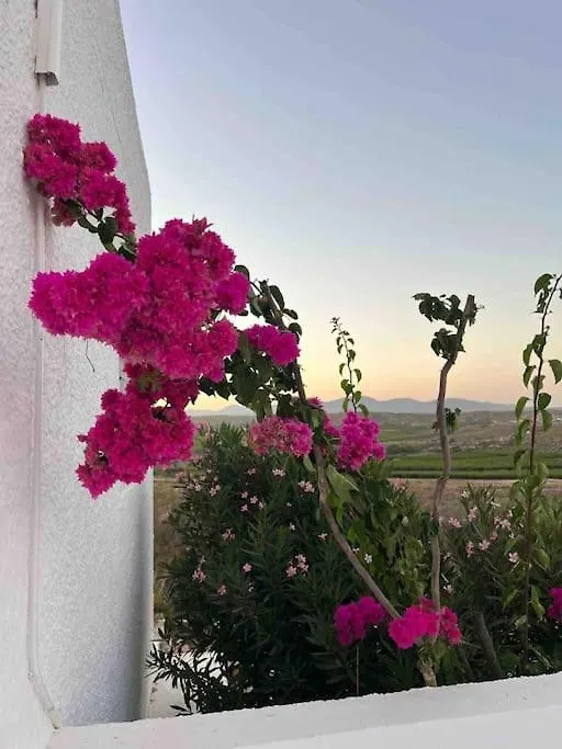 Cortijo Amara Agua Villa Agua Amarga
