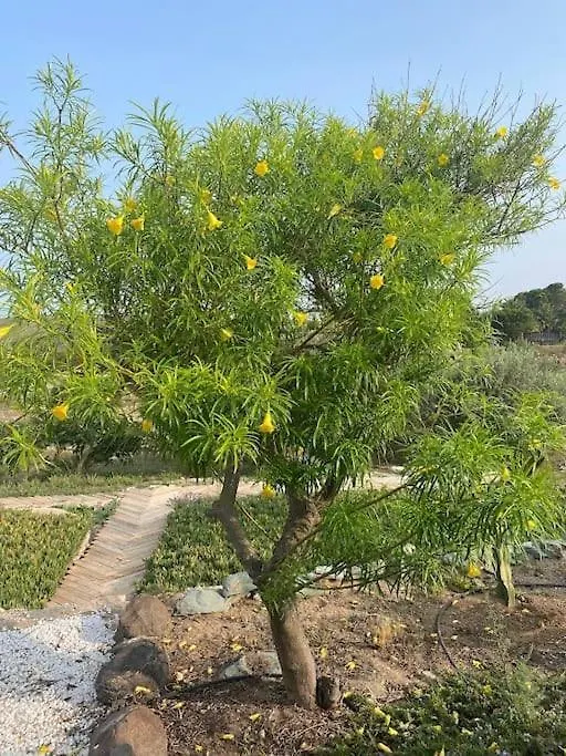 Cortijo Amara Agua Villa Agua Amarga  Spain